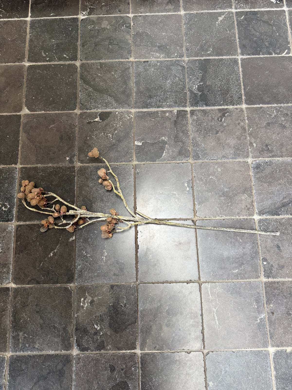 Eucalyptus berry artificial branch