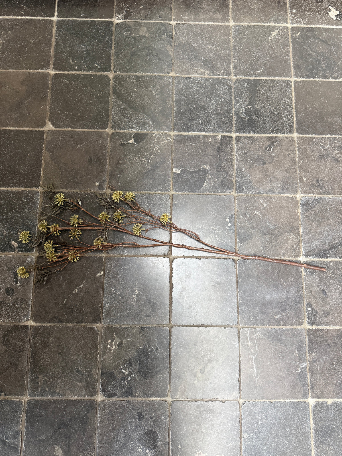 Medlar artificial branch