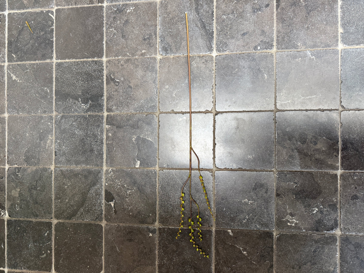 Besjes spray groen/bruin kunsttak