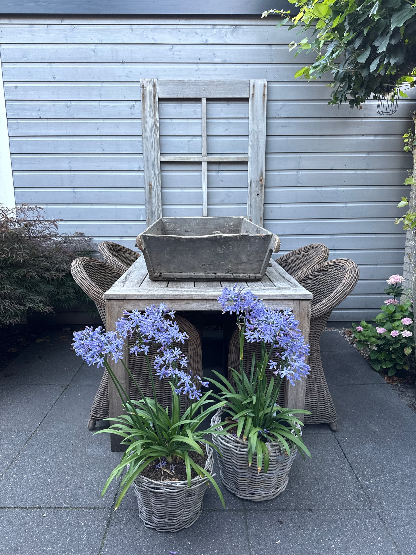 Authentieke oude houten XL trog